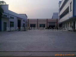 东莞市鹏展房地产中介 连接您与理想家园的专业桥梁